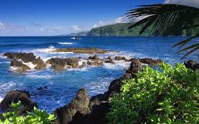 معلومات عن جزر هاواي والطبيعة الساحرة