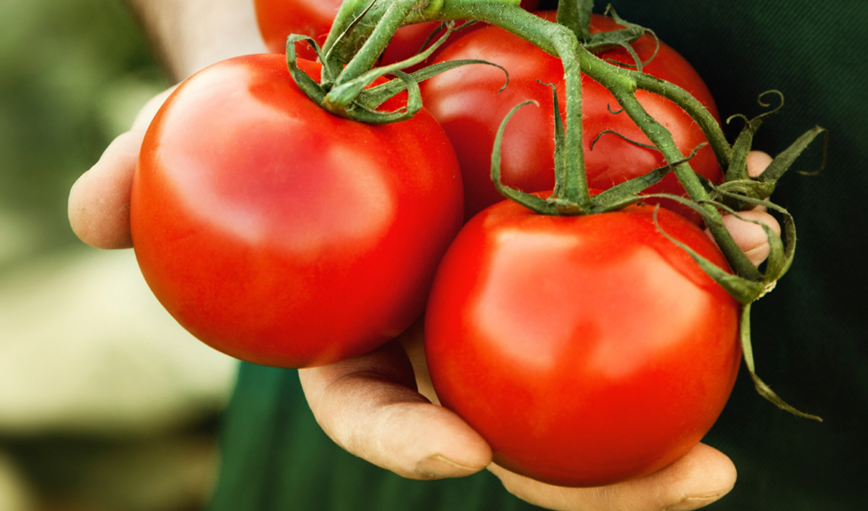 تعرف معنا على فوائد واسرار الطماطم للصحة والجسم