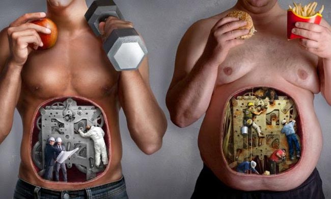 كيفية تحول الدهون إلى عضلات