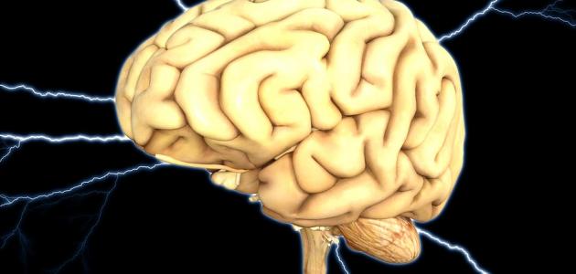 أعراض كهرباء المخ الزائدة
