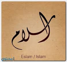 معنى اسم اسلام
