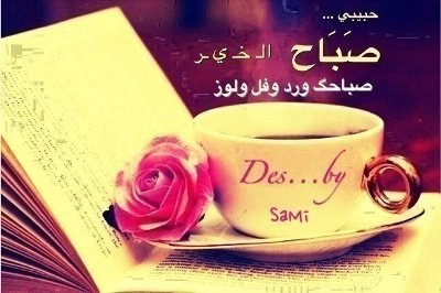 رسائل صباح الخير مصرية للحبيب