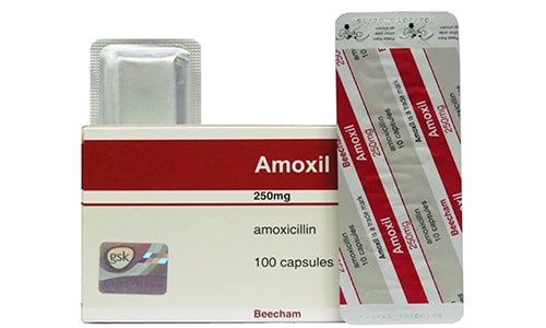 دواء أموكسيل شراب مضاد حيوي واسع المجال Amoxil Capsules
