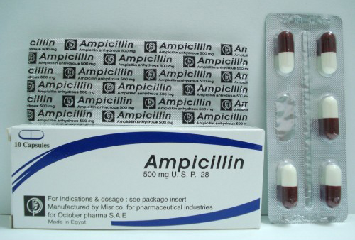 كبسولات أمبيسيلين مضاد حيوي واسع المجال Ampicillin Capsules