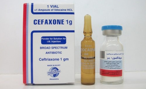 امبولات سيفاكسون حقن مضاد حيوى واسع المجال Cefaxone Ampules