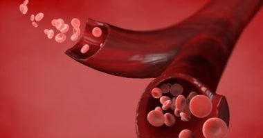 يؤدى العديد من الوظائف الحيوية في الجسم.. ماذا تعني نتائج فحص الدم؟   حصري على لحظات