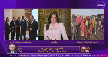 السفير حسين هريدى: مصر ترى أنه لا حل عسكرى للأزمة السودانية   حصري على لحظات