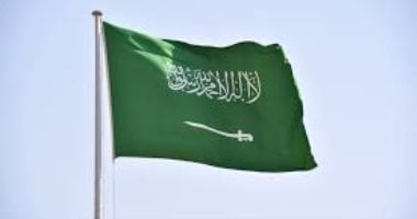 السعودية وباكستان تحثان على بذل جهود دولية لوقف العمليات فى غزة