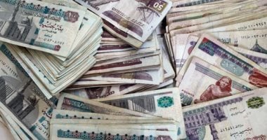 نائب رئيس بنك مصر سابقا: التسعير العادل للجنيه يقضى على السوق الموازي   حصري على لحظات