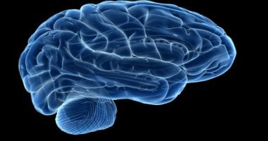 7 خطوات لتقليل خطر الإصابة بالسكتة الدماغية فى مرحلة الشباب   حصري على لحظات