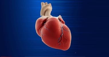 دراسة توضح: خطر الإصابة بأمراض القلب يرتفع بشكل حاد لدى النساء بعد انقطاع الطمث   حصري على لحظات